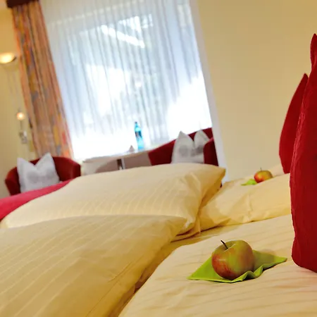 Landhotel Albers Отель Шмалленберг