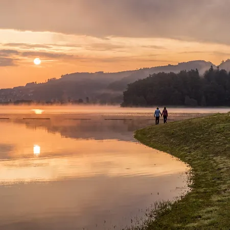 Albers سشمالنبرغ