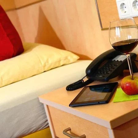 Отель Landhotel Albers 3*
