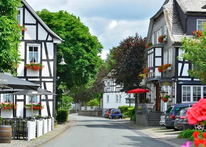 Отель Landhotel Albers 3*