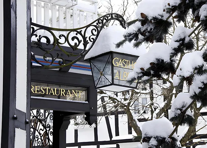 Landhotel Albers Отель 3*