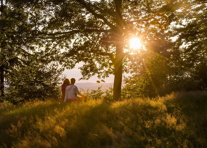 Отель Landhotel Albers Шмалленберг