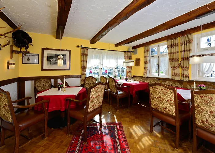 Landhotel Albers Отель