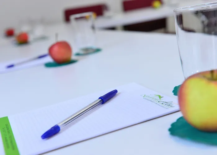 Hotel Albers Schmallenberg