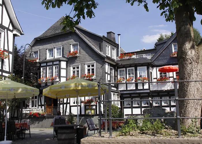 Отель Landhotel Albers Шмалленберг