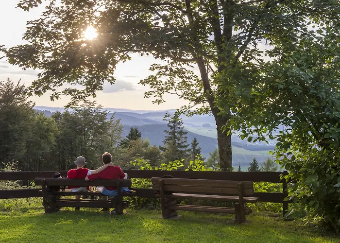 Landhotel Albers Отель