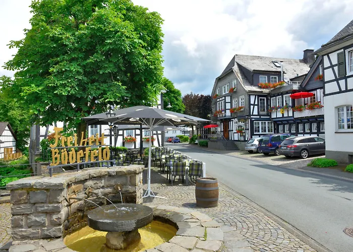 Landhotel Albers 3* Шмалленберг